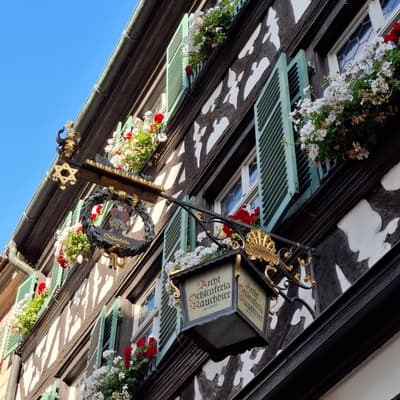 Bamberg 2025 – Bild 19