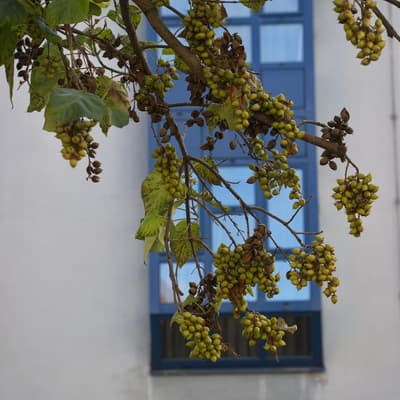 Bamberg 2025 – Bild 22