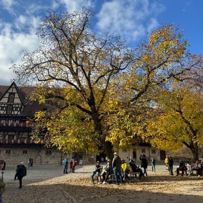 Bamberg 2025 – Bild 42