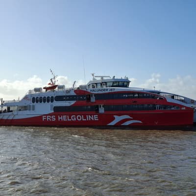 Helgoland 2026 – Bild 5