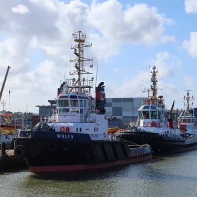 Helgoland 2026 – Bild 7