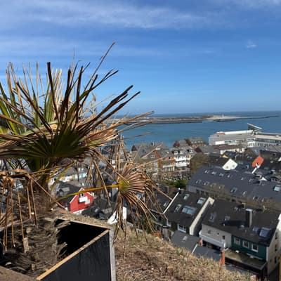 Helgoland 2026 – Bild 10