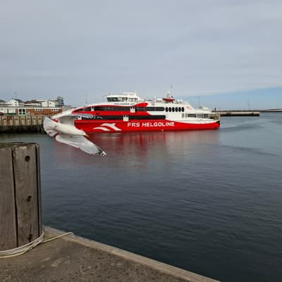 Helgoland 2026 – Bild 11