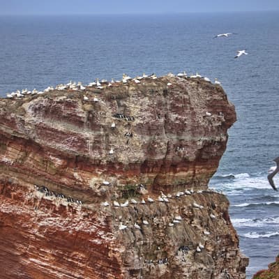 Helgoland 2026 – Bild 16