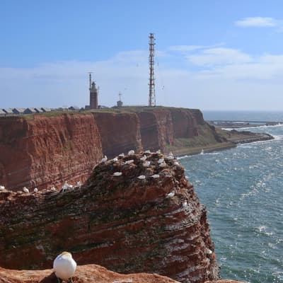 Helgoland 2026 – Bild 28