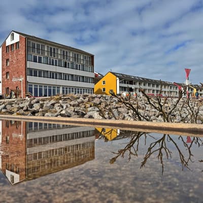 Helgoland 2026 – Bild 35