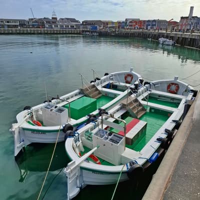 Helgoland 2026 – Bild 36