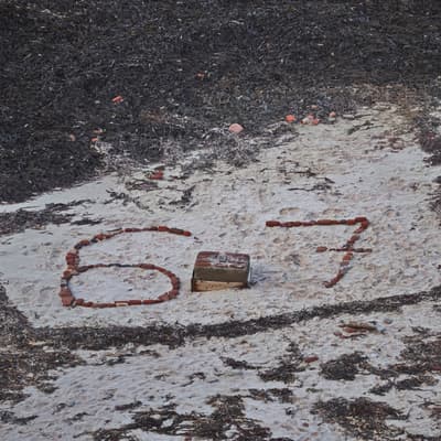 Helgoland 2026 – Bild 37