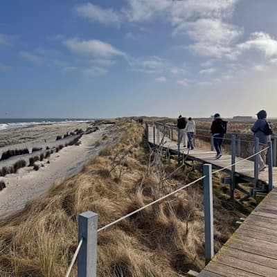 Helgoland 2026 – Bild 40