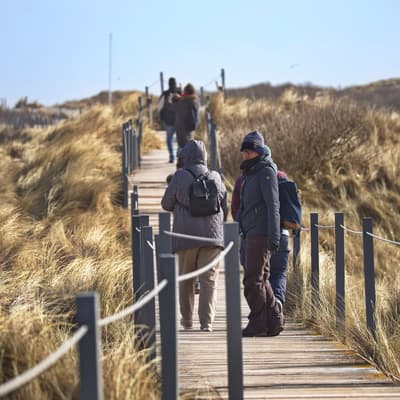 Helgoland 2026 – Bild 41
