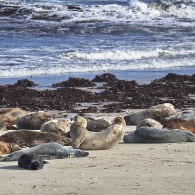 Helgoland 2026 – Bild 42