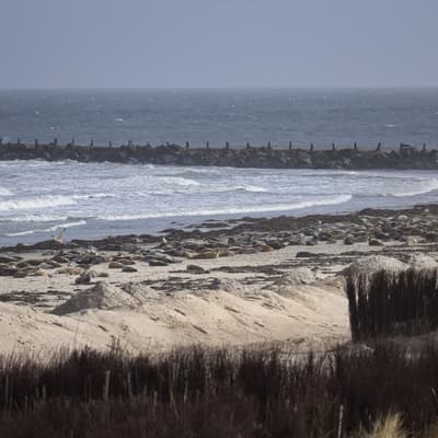 Helgoland 2026 – Bild 44