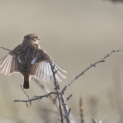 Helgoland 2026 – Bild 49
