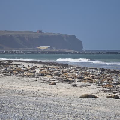 Helgoland 2026 – Bild 53