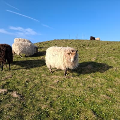 Helgoland 2026 – Bild 57