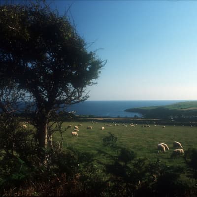 Isle of Man 2003 – Bild 26