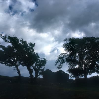 Isle of Man 2003 – Bild 28