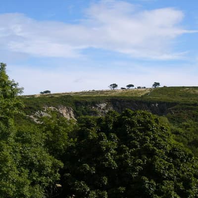 Isle of Man 2005 – Bild 34