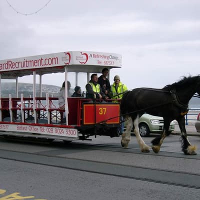 Isle of Man 2005 – Bild 86