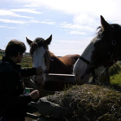 Isle of Man 2005 – Bild 116
