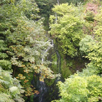 Isle of Man 2005 – Bild 163