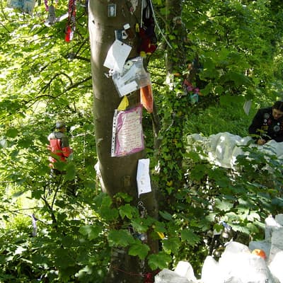 Isle of Man 2007 – Bild 41