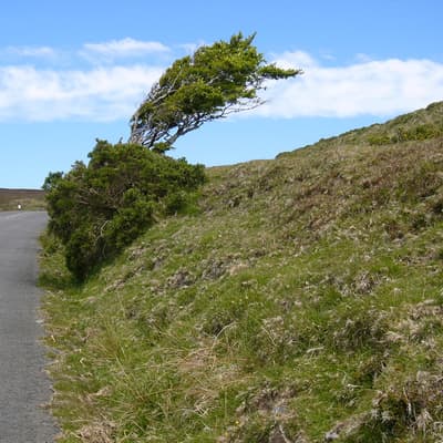 Isle of Man 2007 – Bild 64