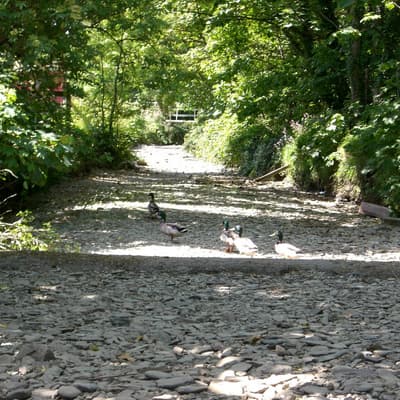 Isle of Man 2007 – Bild 100