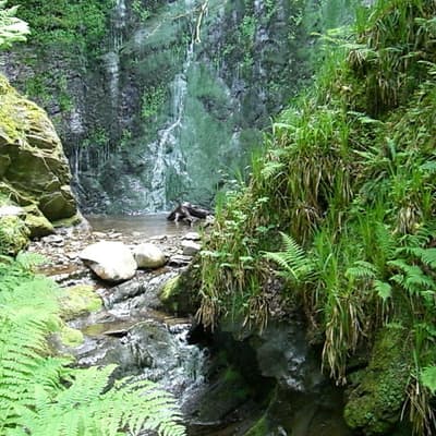 Isle of Man 2007 – Bild 237
