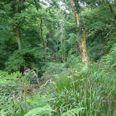 Isle of Man 2007 – Bild 238