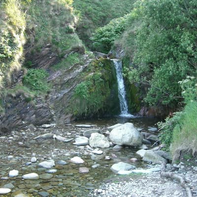 Isle of Man 2007 – Bild 239