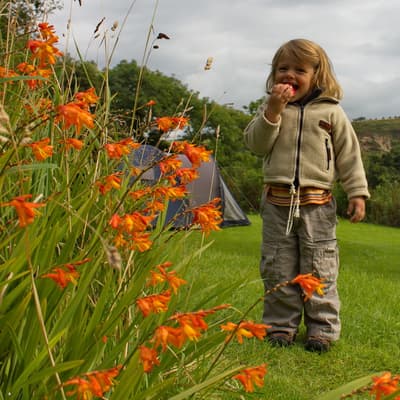 Isle of Man 2012 – Bild 21
