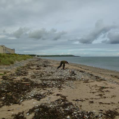 Isle of Man 2012 – Bild 26