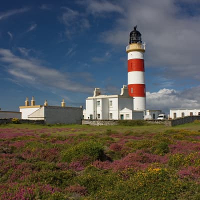 Isle of Man 2012 – Bild 66