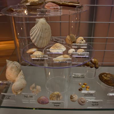 Isle of Man 2012 – Bild 121