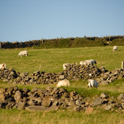 Isle of Man 2012 – Bild 136