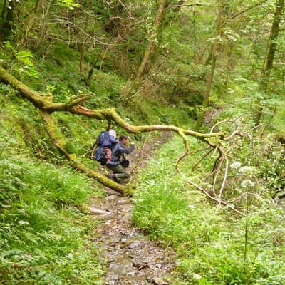 Isle of Man 2012 – Bild 147