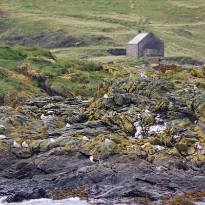 Isle of Man 2012 – Bild 151