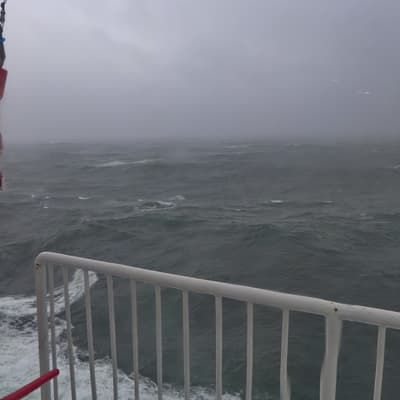 Isle of Man 2015 – Bild 28