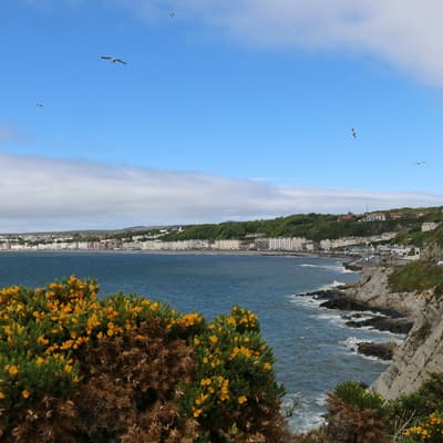 Isle of Man 2015 – Bild 35