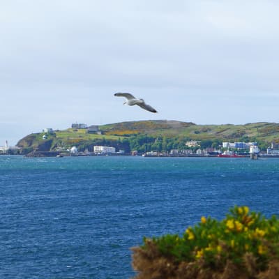 Isle of Man 2015 – Bild 36