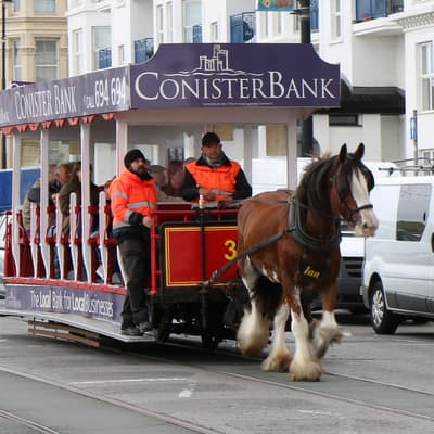 Isle of Man 2015 – Bild 38