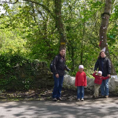 Isle of Man 2015 – Bild 42