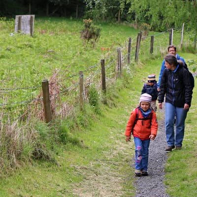 Isle of Man 2015 – Bild 129