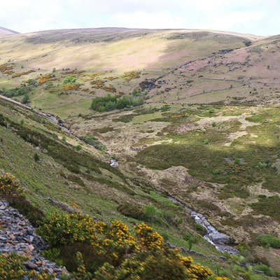 Isle of Man 2015 – Bild 139