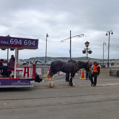 Isle of Man 2015 – Bild 204