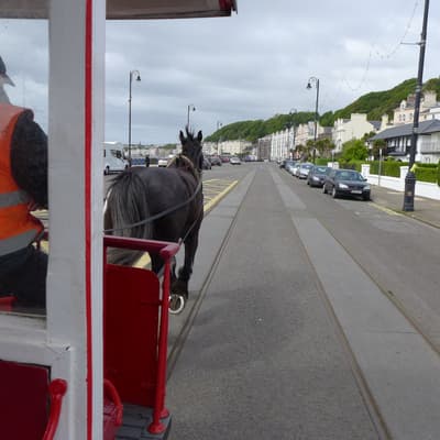 Isle of Man 2015 – Bild 205