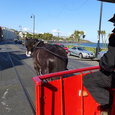 Isle of Man 2015 – Bild 236