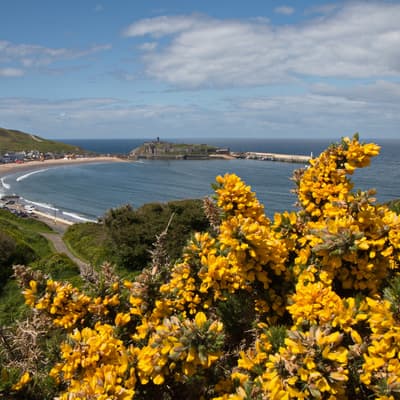Isle of Man 2015 – Bild 247