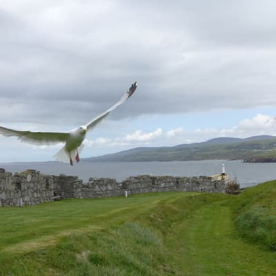 Isle of Man 2015 – Bild 262